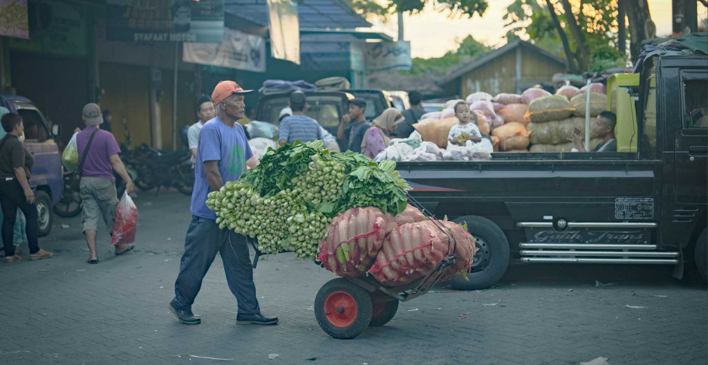 Penguatan Distribusi Logistik Pangan Perlu Dikelola Secara Holistik