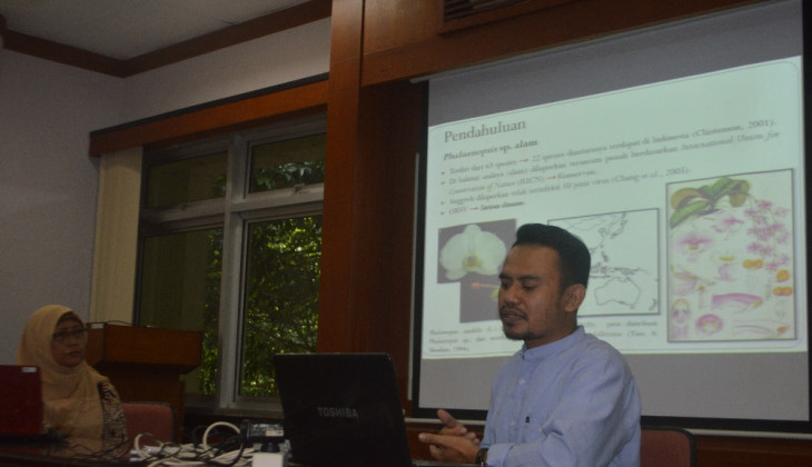 Anggrek Phalaenopsis Alam di Indonesia Terancam Punah