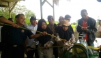 Pengabdian Masyarakat FAPET UGM di Penajam Paser Utara
