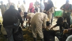 Pengabdian Masyarakat FAPET UGM di Penajam Paser Utara