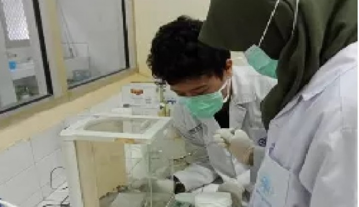 Gel Sengat Lebah Buatan Mahasiswa UGM Berpotensi Sembuhkan Luka Operasi Gigi