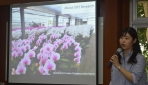 Mahasiswa Nagoya University Berkesempatan Mengaplikasikan Teknik Genome Editing Anggrek di UGM