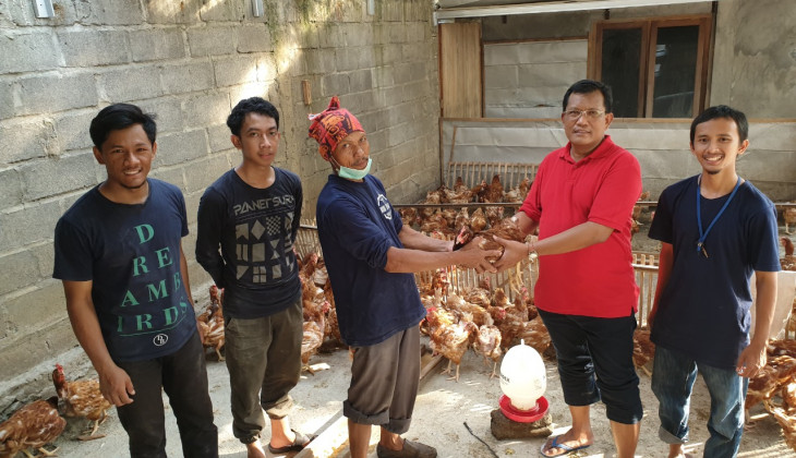 Memberdayakan Masyarakat Melalui Transfer Teknologi Peternakan Ayam Petelur