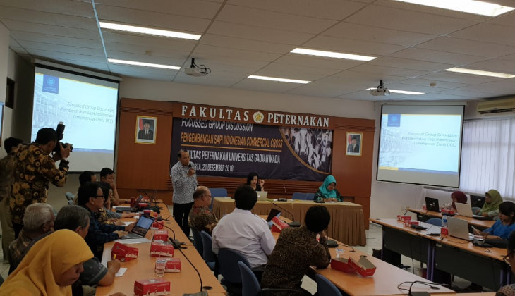Sapi Komersial Asli Indonesia Perlu Dikembangkan
