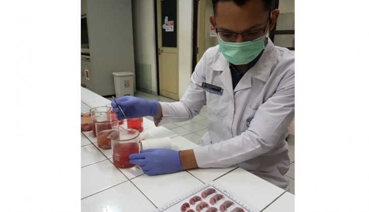 Konsumsi Bawang Putih Sebagai Obat Hipertensi Selama Kehamilan Bisa Bahayakan Janin