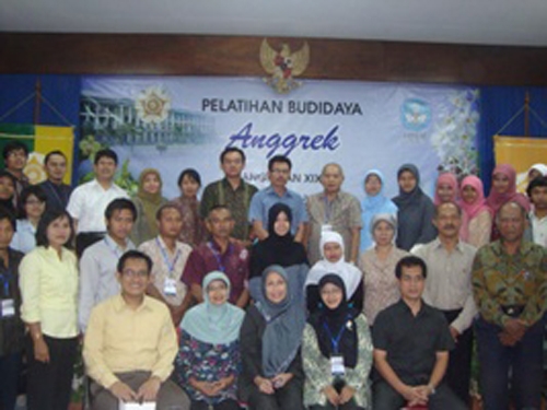 Besar, Potensi Pengembangan Budidaya Anggrek di Indonesia