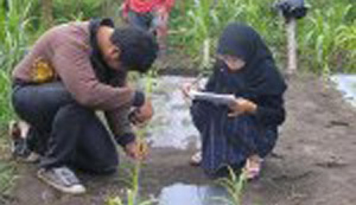 Dukung Metode PBR, Fakultas Peternakan Kembangkan Field Laboratory