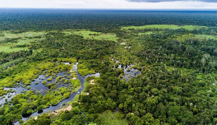 Restorasi Gambut Perlu Tempatkan Petani Sebagai Mitra