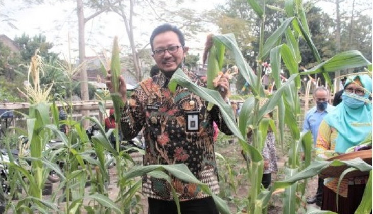 PIAT Dukung Pertanian Perkotaan di Yogyakarta