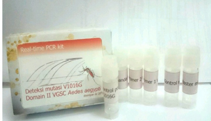 Dosen FKH UGM Kembangkan Kit Deteksi Aedes aegypti Resisten Permethrin