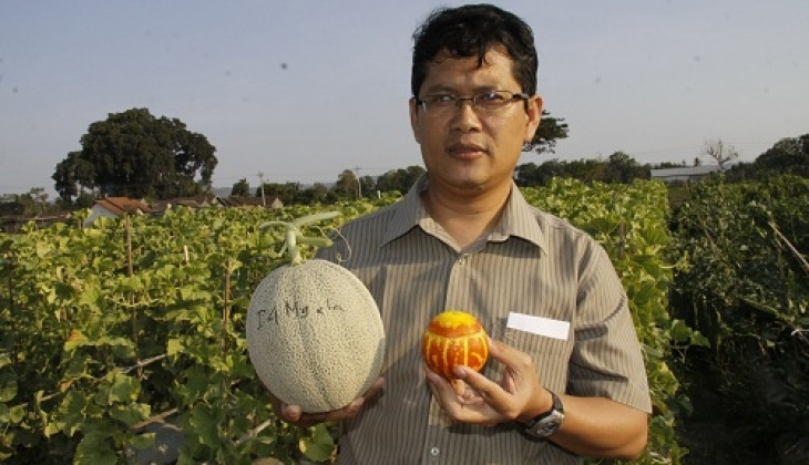 Tekun Teliti Melon Hantarkan Budi Daryono Raih Penghargaan Penelitian Kolaboratif Terbaik UGM