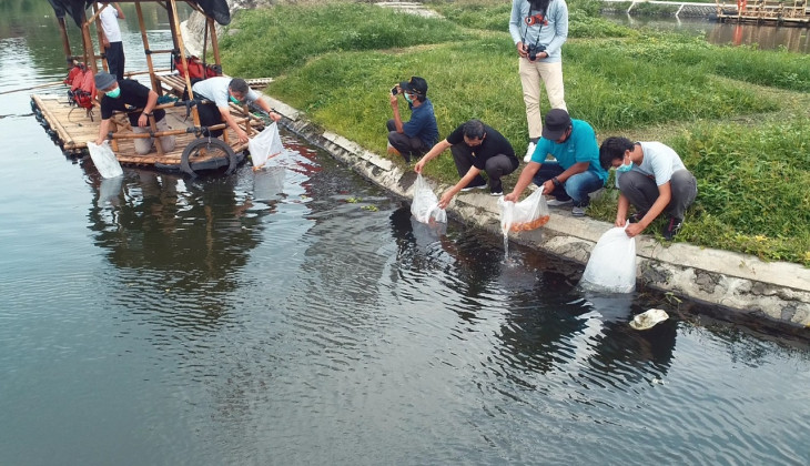    Gelar Baksos, Departemen Perikanan UGM Tebar Benih Ikan di Rawa Kalibayem