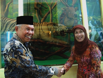 Harimau Sumatera dan Kepala Tanduk Rusa Tambah Koleksi Museum Biologi UGM