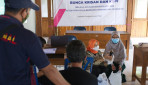 UGM Beri Pendampingan Petani Bunga Krisan di Kulon Progo