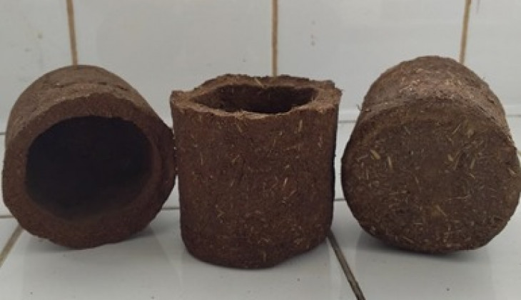 Mahasiswa UGM Membuat Eco-Pot Berbahan Kulit Durian dan Rumput Gajah