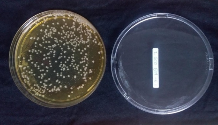 Mahasiswa UGM Kembangkan Medium Pertumbuhan Bakteri Asam Laktat Berbahan Baku Limbah Organik Pasar