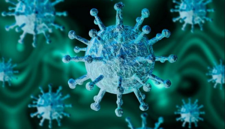 Pakar UGM: Flu Burung Tidak Menular Antar Manusia