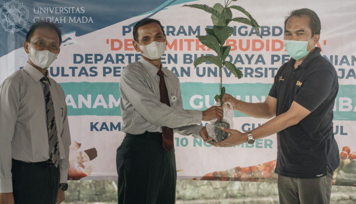 Fakultas Pertanian UGM Tanam 1.000 Bibit Kopi Robusta di Gunung Gambar