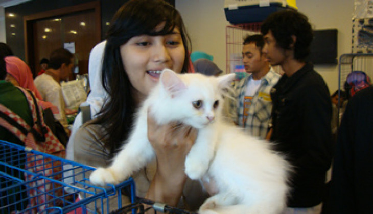 KSHK UGM Gelar Jogja Cat Carnival, Ajang Pertemuan Komunitas Pecinta Kucing