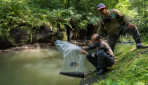 Jaga Kelestarian Lingkungan, UGM dan STP Tebar 20 Ribu Benih Ikan Sidat di Sungai Boyong