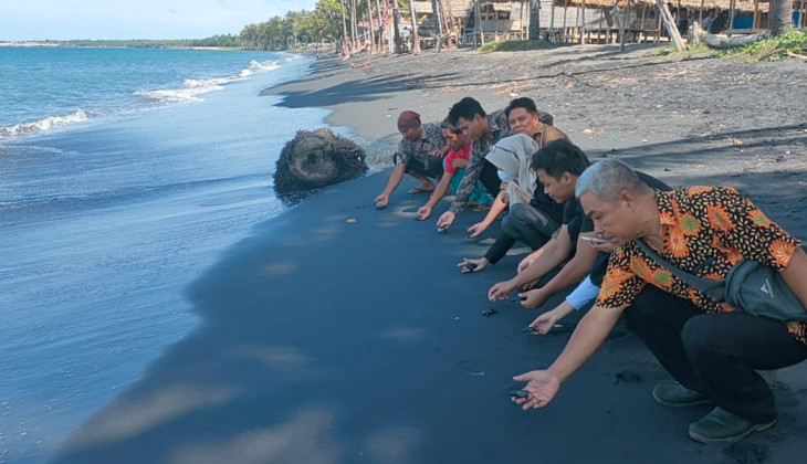 Menggagas Konservasi Penyu di Sunrise Land Lombok