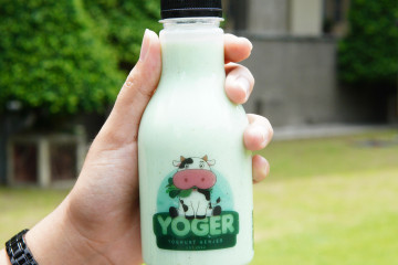 Mahasiswa UGM Buat Produk Minuman Yoghurt Berbahan Tanaman Genjer  