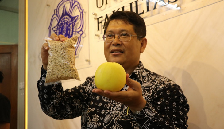 Prof. Budi Setiadi Daryono Recounts Origin of His Apple Melon Cultivar 'Hikapel'