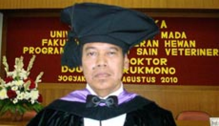 Mycobacteriosis Masih Mengancam Budidaya Ikan Gurameh