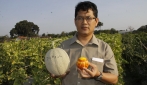 UGM Raih Ilmuwan Biologi Kontributif  MIPA UI Award 2013