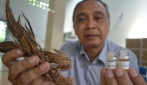 UGM Kembangkan Teknologi Konversi Limbah Biomassa Menjadi BBM