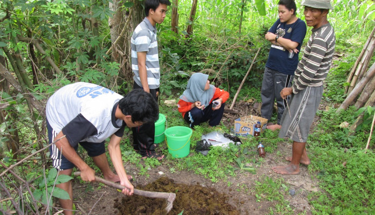 Mahasiswa UGM Berdayakan Petani dan Peternak Sapi Madura