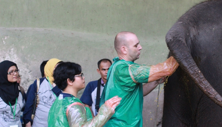 Gajah Sumatera Terancam Punah, FKH UGM Undang Pawang Gajah