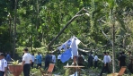 Mahasiswa UGM Tewas Tertimpa Pohon Tumbang