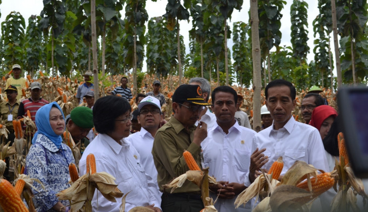 Jokowi Tinjau Sistem Pertanian Terpadu di Areal Hutan Blora