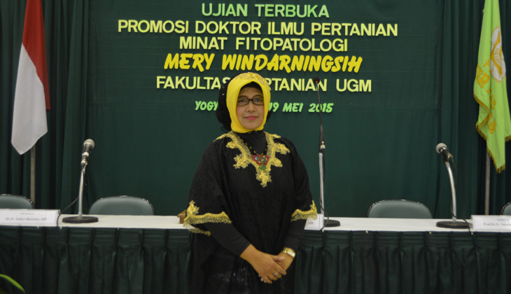 Mery Raih Doktor USai Teliti Penyakit Daun Keriting Kuning Cabai Rawit