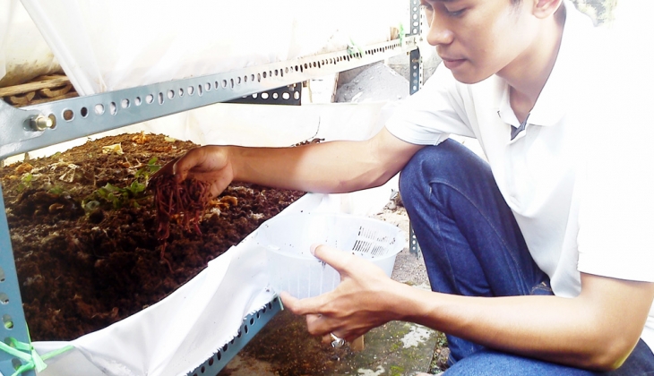 Mahasiswa UGM Kembangkan Bisnis Budidaya Cacing Tanah