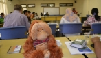 Dokter Hewan OVAG Berkumpul Bahas Konsevasi Orangutan