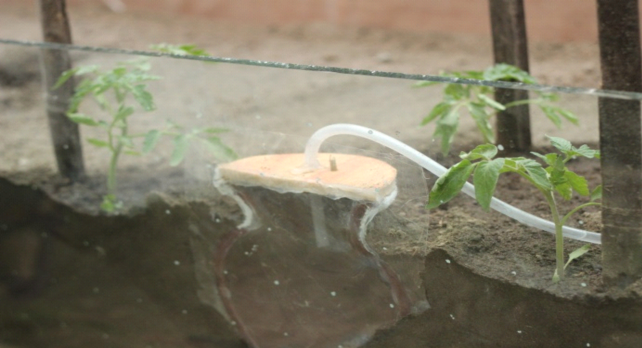 OFERS, Efektif dan Efisien Untuk Pemberian Air dan Nutrisi Tanaman