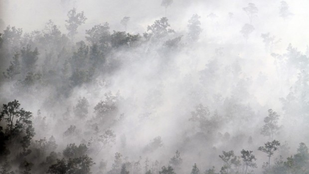 Bencana Kebakaran Hutan dan Kabut Asap (foto:dok. beritasatu.com)