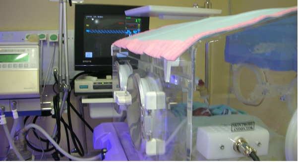 Bayi prematur dalam perawatan di inkubator. (foto:istimewa)