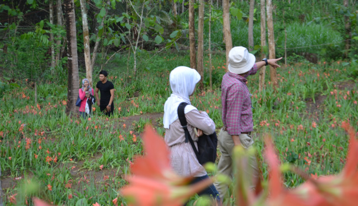 Ugm Lecturers Make Amaryllis Garden Landscape Universitas Gadjah Mada