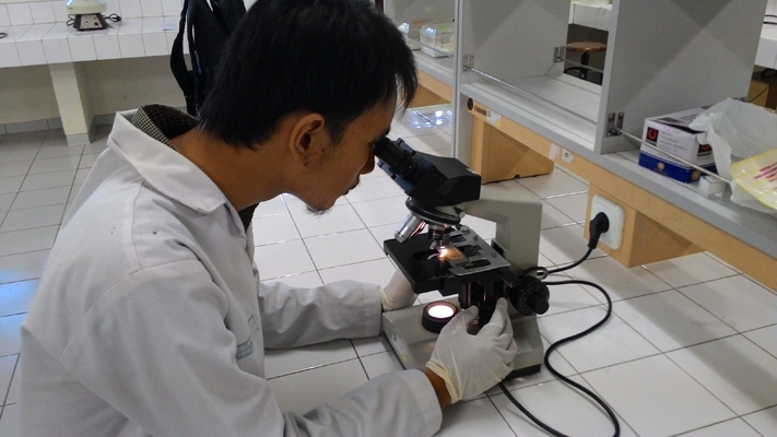  Deny H. Tambunan, salah satu tim peneliti tengah mengamati perkembangan telur toxocara dalam feses kucing melalui mikroskop.