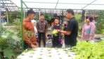 Mahasiswa UGM Berikan Pelatihan Sistem Pertanian Aquaponik di PT. Indmira