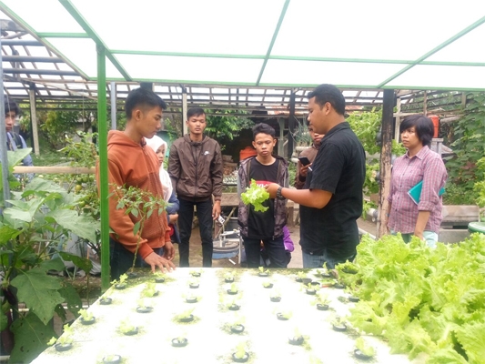 Mahasiswa UGM Berikan Pelatihan Sistem Pertanian Aquaponik di PT. Indmira