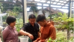 Mahasiswa UGM Berikan Pelatihan Sistem Pertanian Aquaponik di PT. Indmira