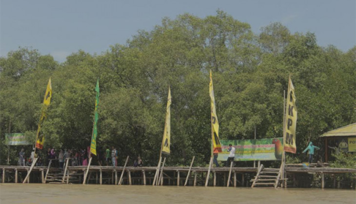 Mahasiswa UGM Dorong Kesadaran Warga Lestarikan Mangrove Wonorejo