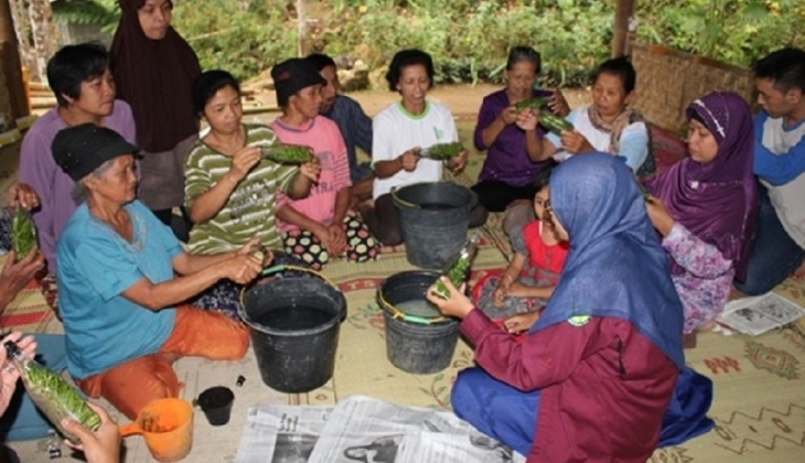 UGM Mengenalkan Budidaya Anggrek di Kulon Progo