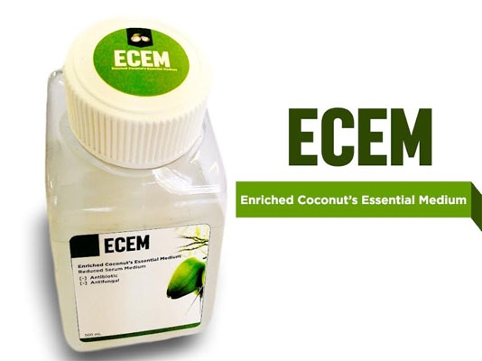 Enriched Coconut's Essential Medium, merupakan medium  alternatif penumbuh sel punca dari air kelapa buatan mahasiswa UGM.