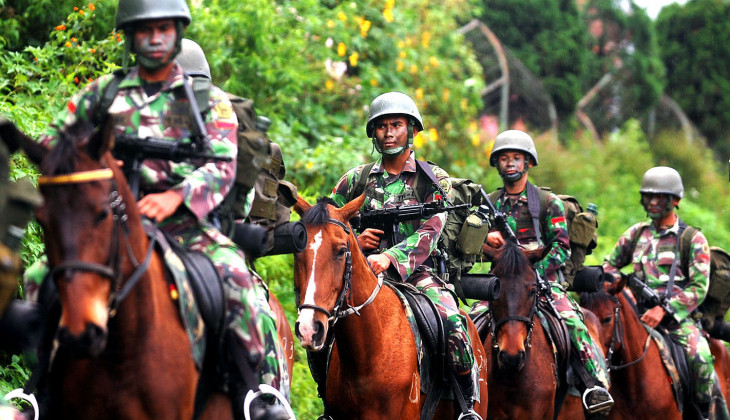 Mahasiwa UGM Meneliti Kualitas Kuda  Kavaleri  Milik TNI 