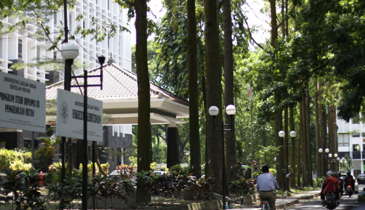 Pohon-pohon yang Tumbuh di UGM